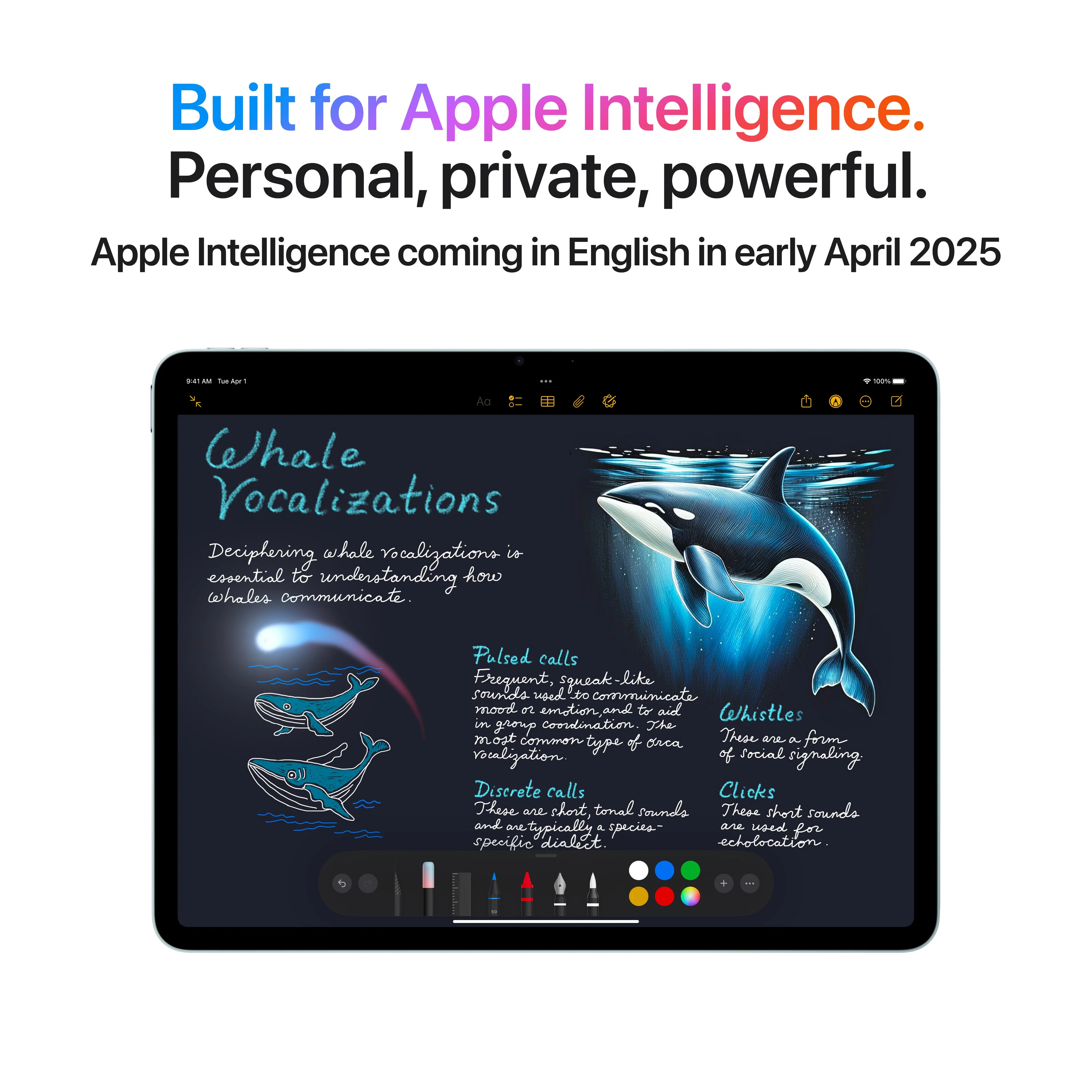 iPad Air 13-tommer Wi-Fi + Cellular 128GB - Stjerneskinn (M3) - Image 5