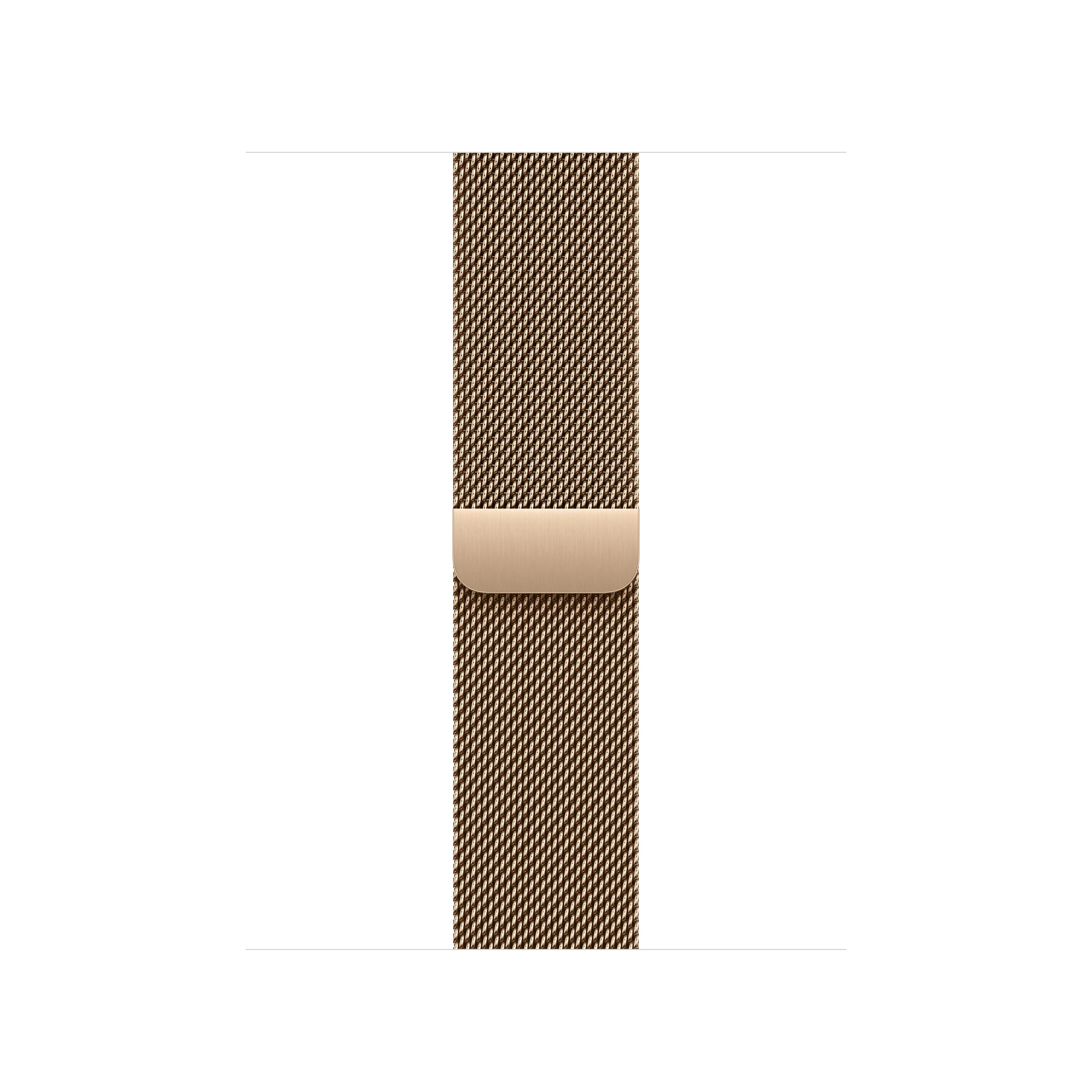 42/41 mm Gold Milanese Loop