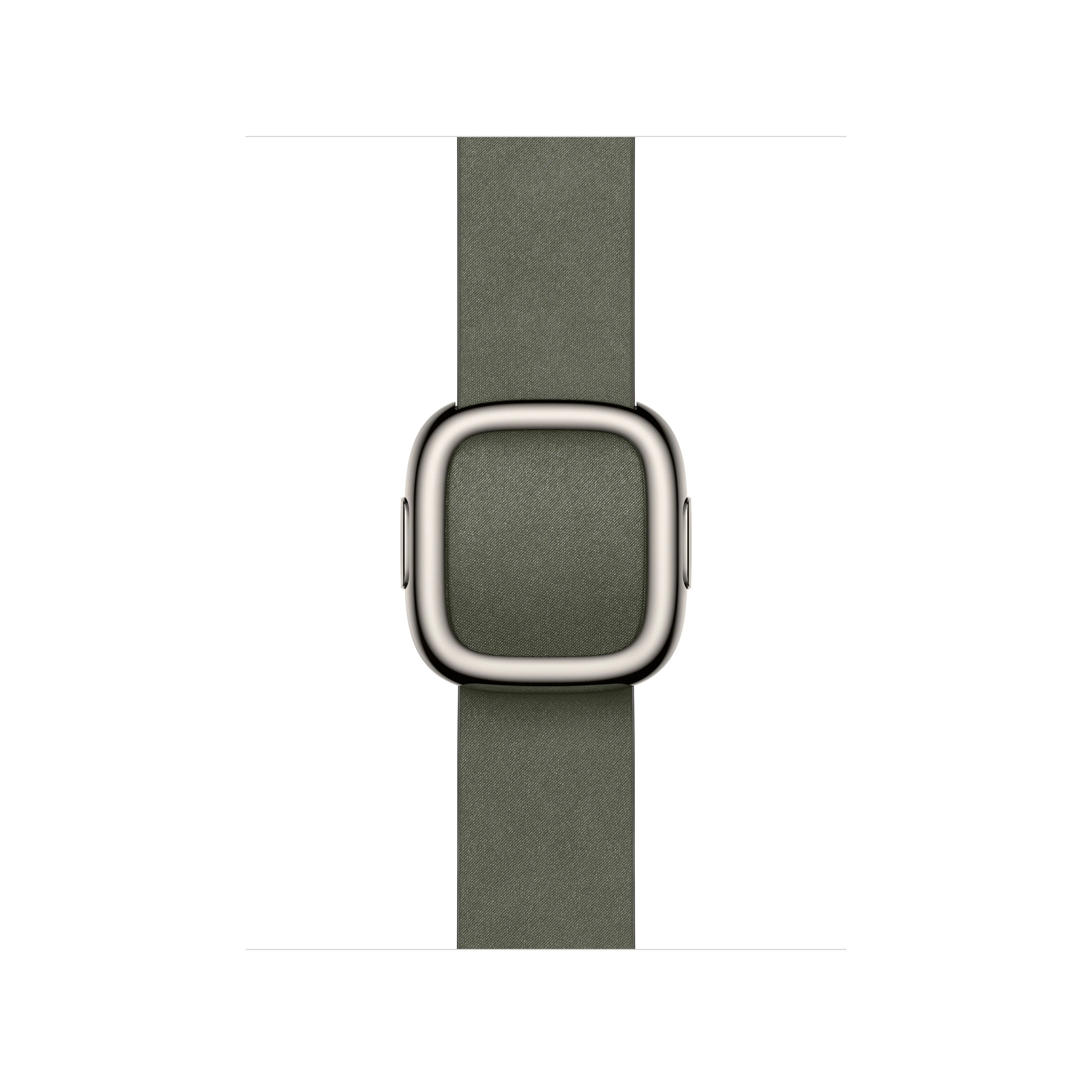 42/41 mm Sage Grey Modern Buckle - Small