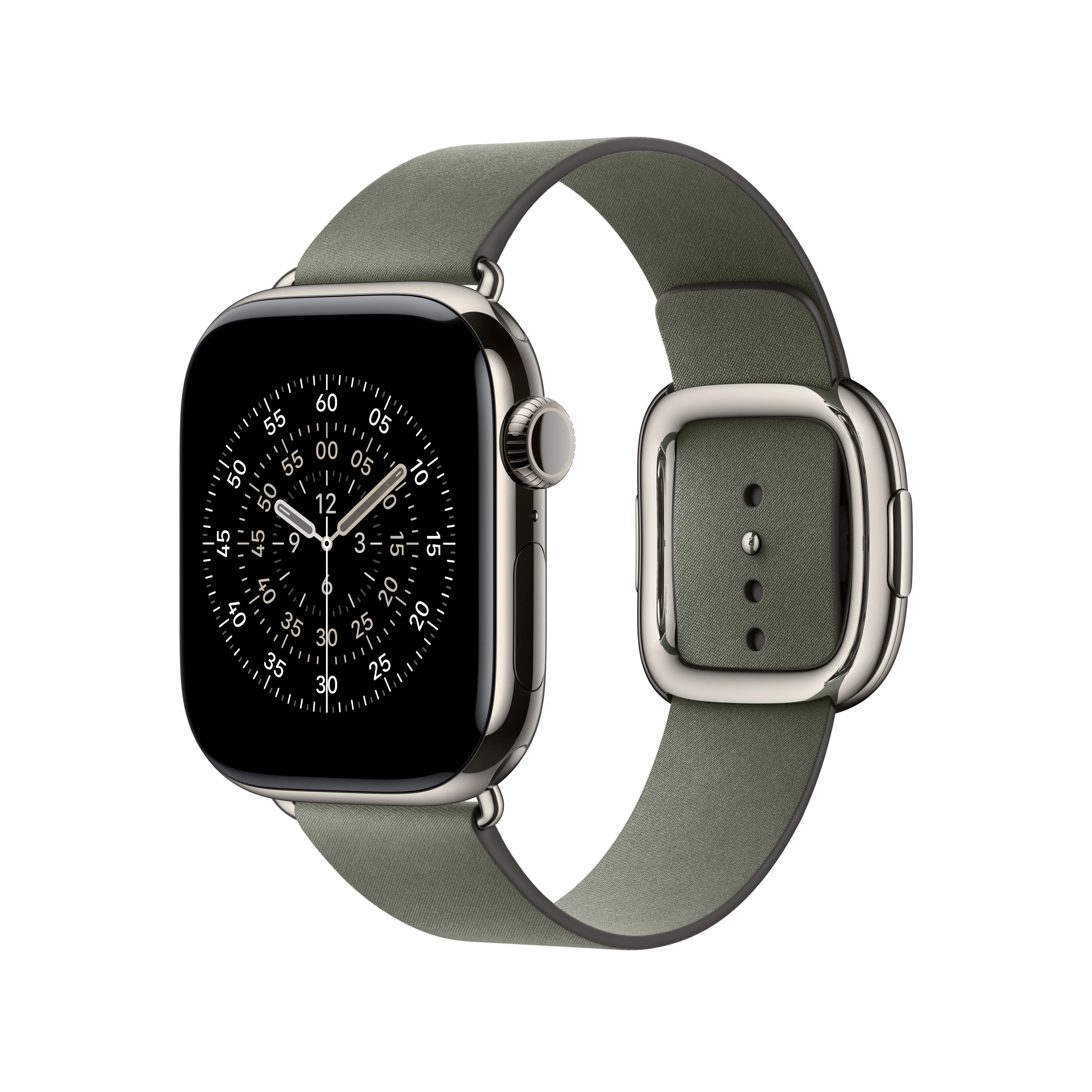 42/41 mm Sage Grey Modern Buckle - Small - Image 2